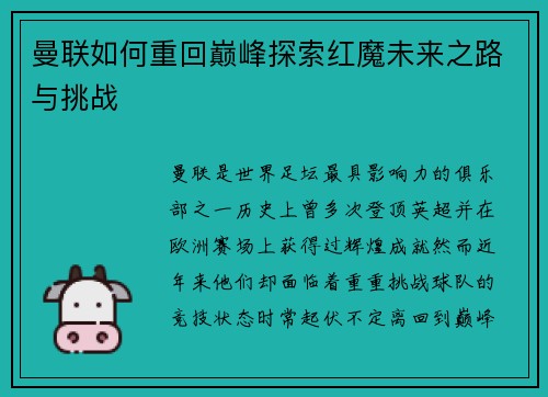 曼联如何重回巅峰探索红魔未来之路与挑战