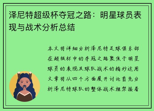 泽尼特超级杯夺冠之路：明星球员表现与战术分析总结