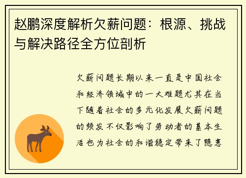 赵鹏深度解析欠薪问题:根源、挑战与解决路径全方位剖析 赵鹏深度解析欠薪问题:根源、挑战与解决路径全方位剖析