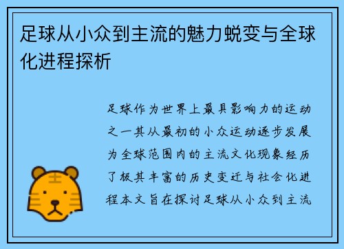 足球从小众到主流的魅力蜕变与全球化进程探析